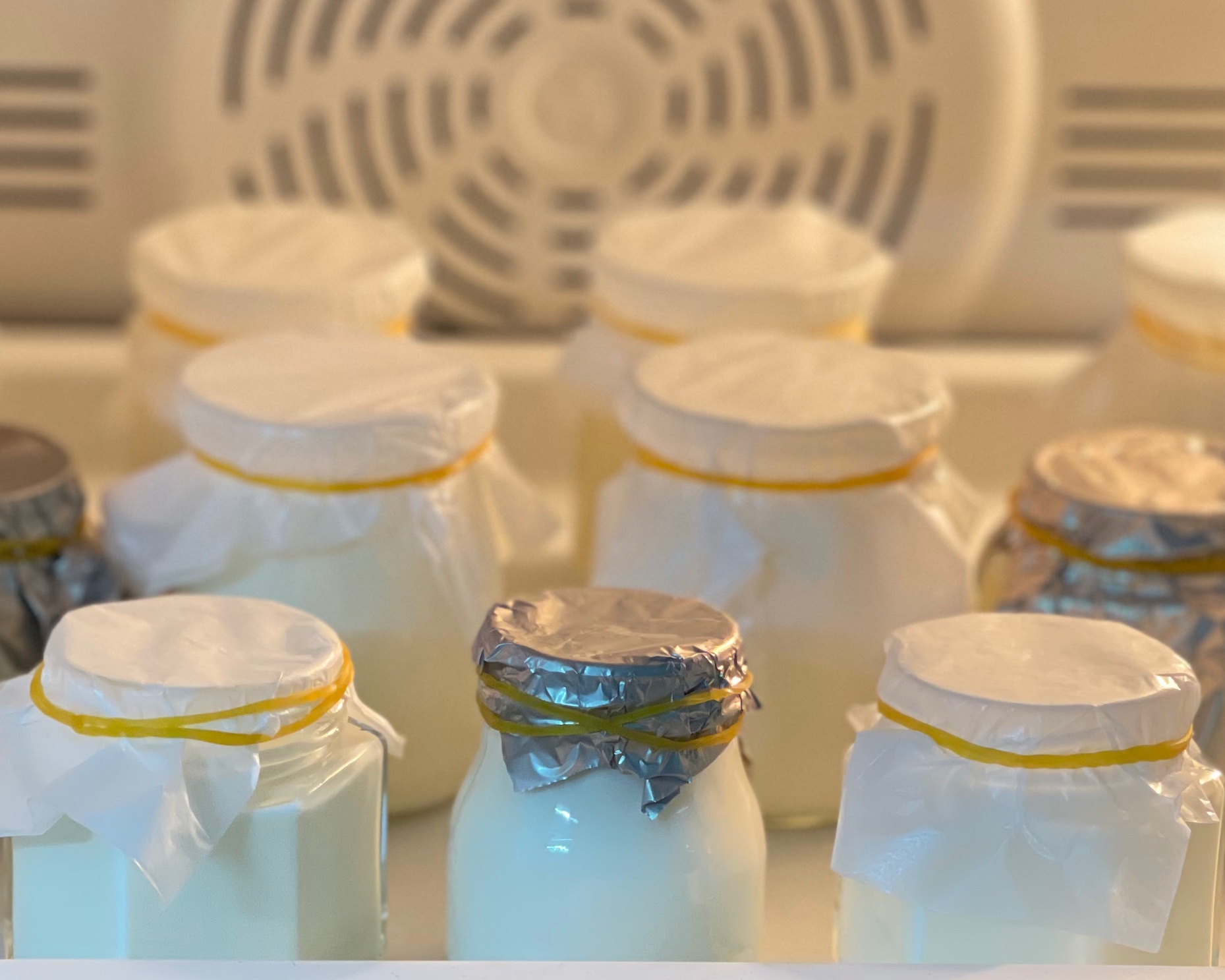 自制浓稠酸奶（烤箱）的做法 步骤4