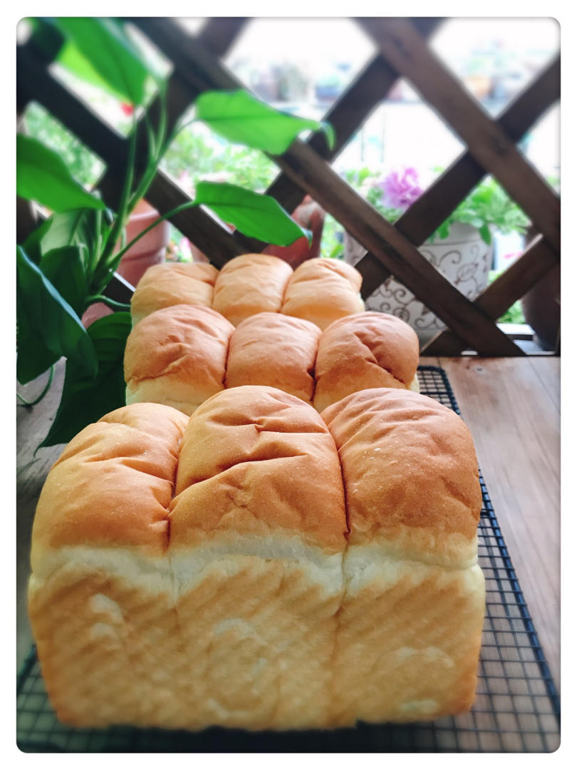 2.0版奶油中种吐司🍞