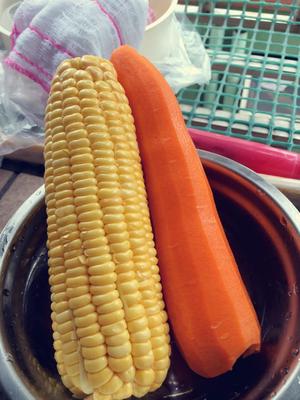 排骨玉米红萝卜汤的做法 步骤2