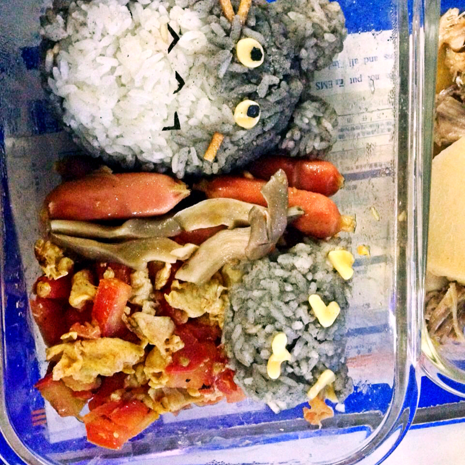 龙猫和煤球精灵饭团