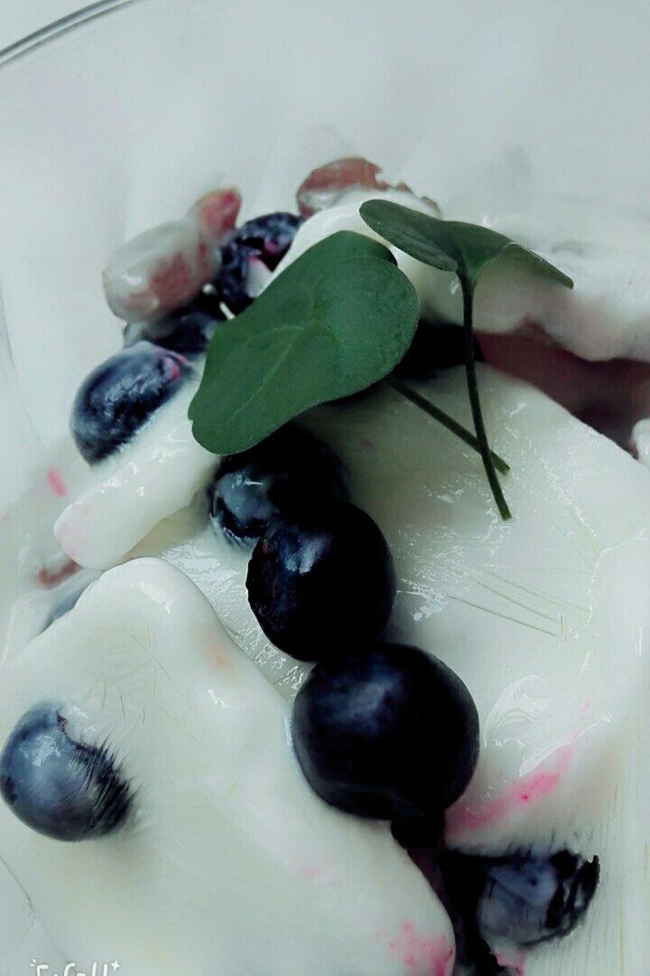 酸奶水果薄脆Yogurt Fruits Bar