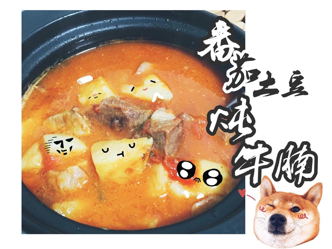 【番茄土豆炖牛腩】