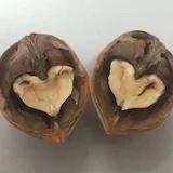 乖乖活死人