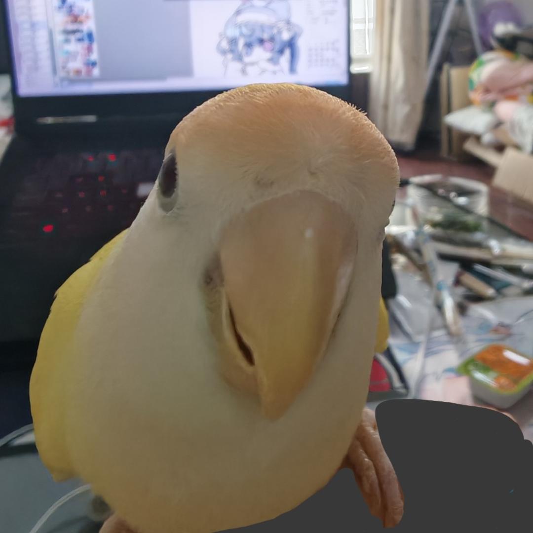 我要吃小鸡