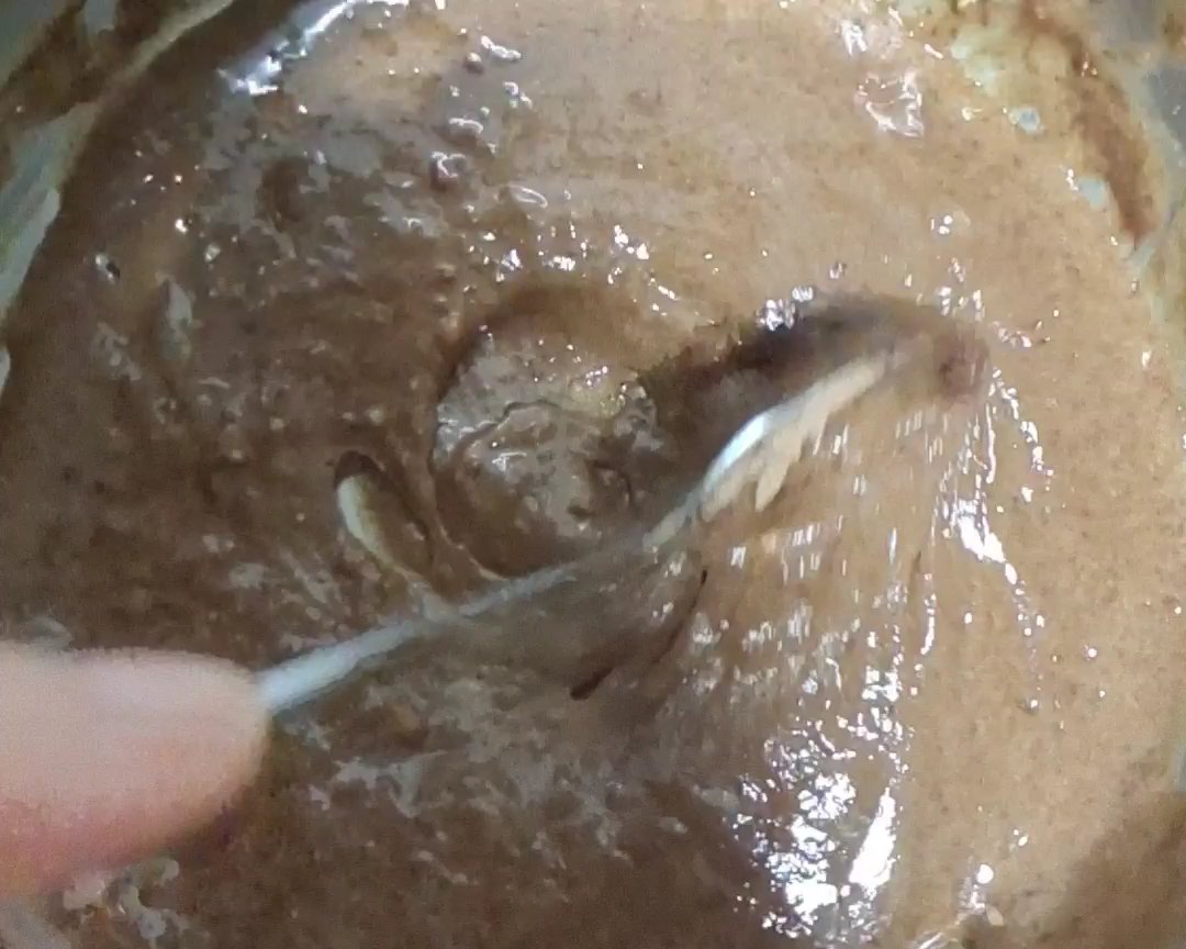 [低碳生酮低卡]魔芋粉蛋糕卷的做法 步骤2