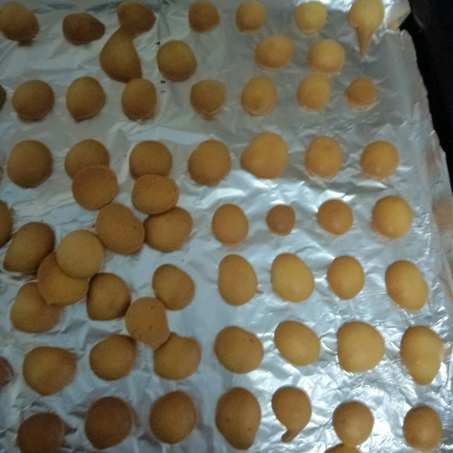 婴儿辅食版蛋奶小饼干（简单快手）