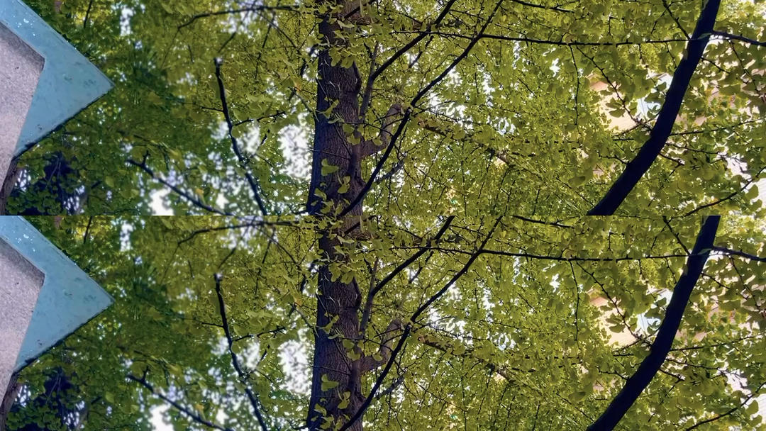 小小象弟弟的日食记（宝宝零抗拒的辅食，更新中）