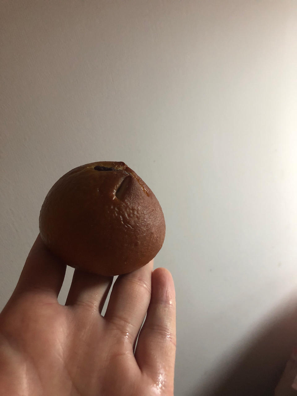 「面包记录4」碱水球（红豆沙）