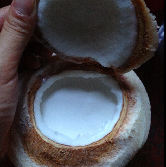 自制纯天然越南椰子冻
