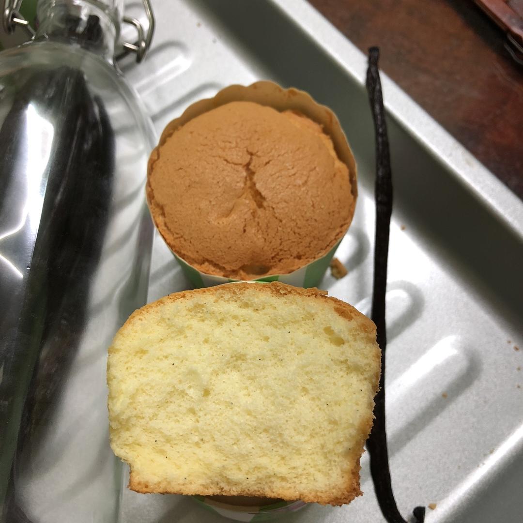 关于香草豆荚，看这一篇就够了