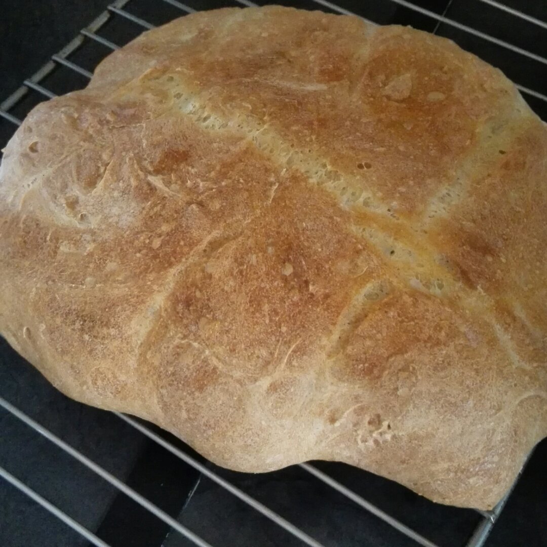 免揉意大利拖鞋面包ciabatta（吐血整理史上最全藤田千秋免揉欧包制作心得）