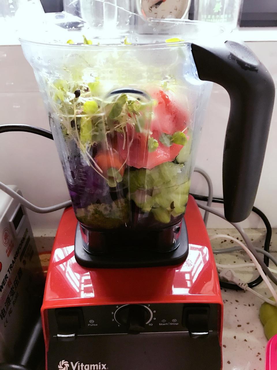 Vitamix 5300 记录