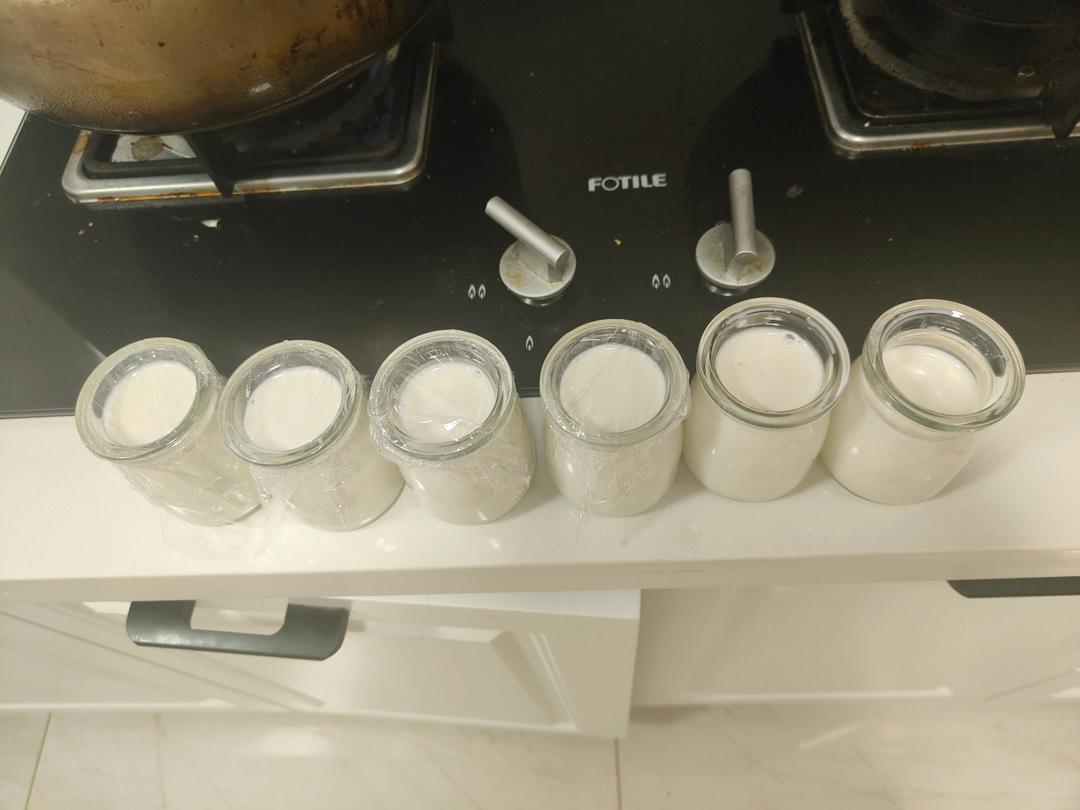 消耗蛋白！超简单！双皮奶