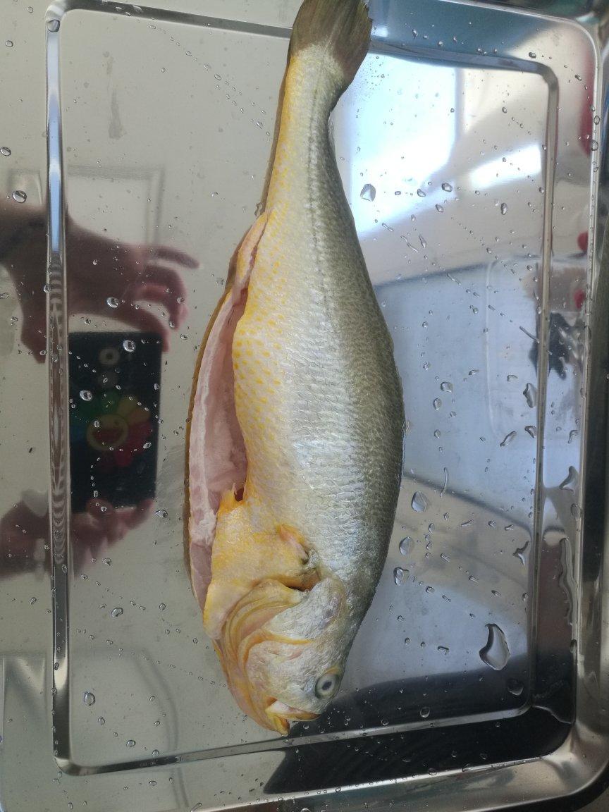 广式口味煎封黄花鱼