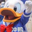 花日绯