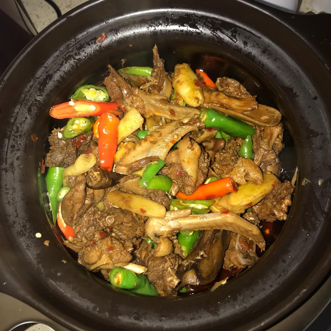 橙岑岑橙做的子姜焖鸭煲