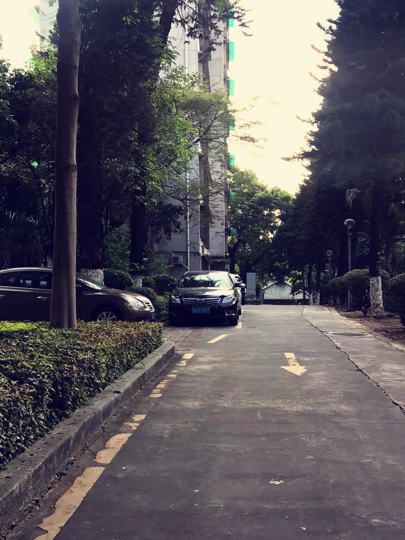鲜奶油小餐包（一次发酵）