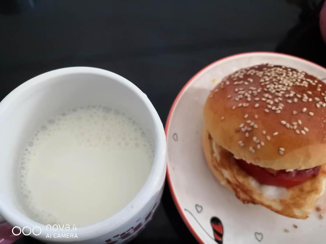 汉堡胚 poolish（波兰种）