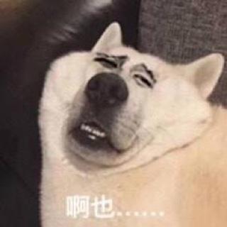 雯雯脑壳大