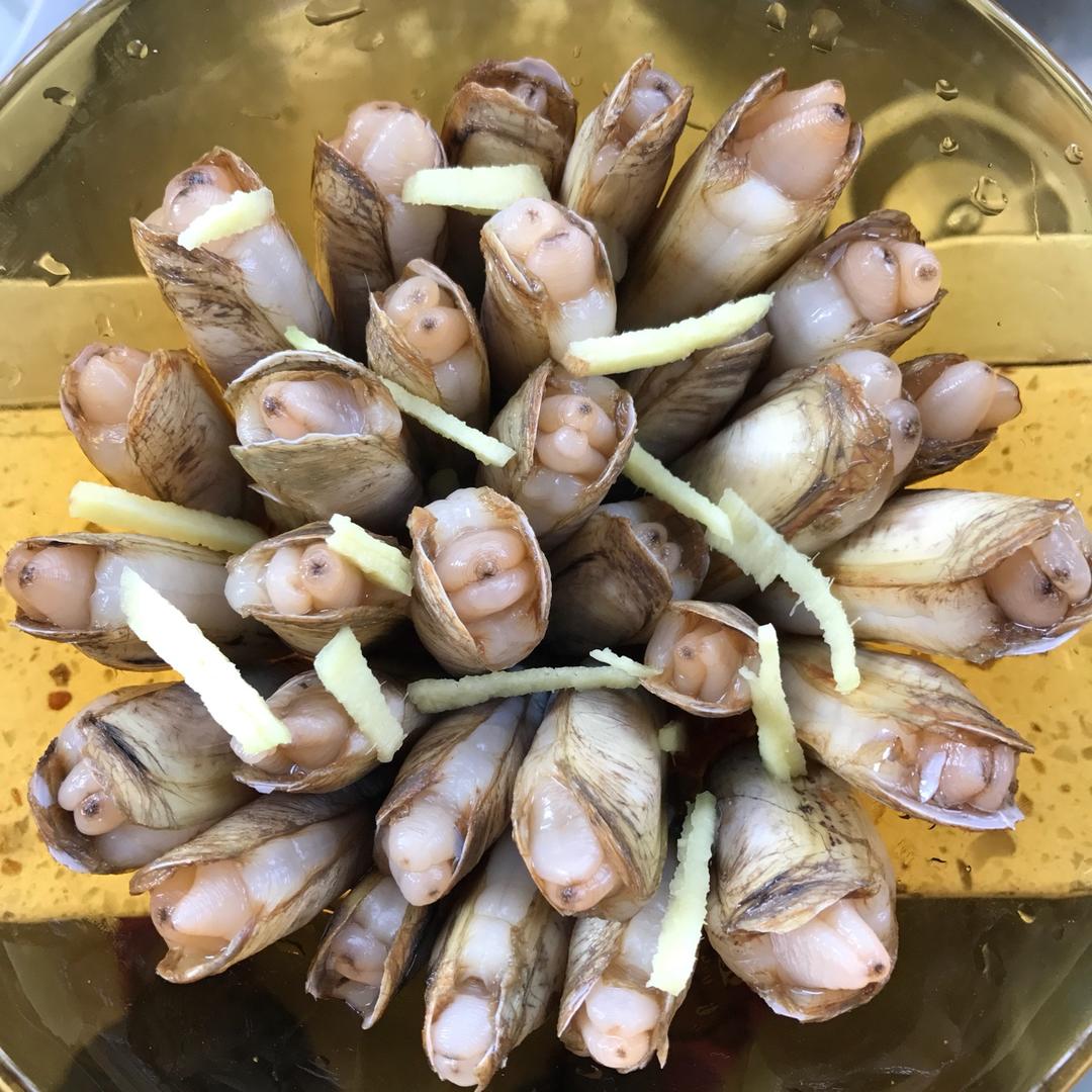 原汁原味的插蛏（蛏子）