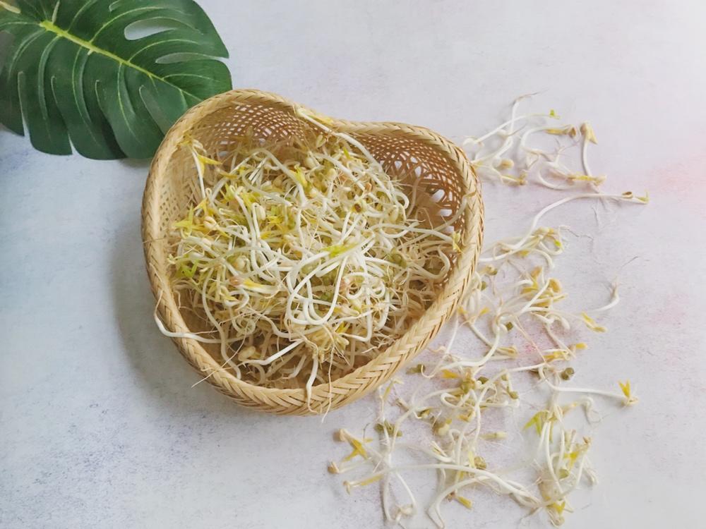 自制无添加绿豆芽的做法