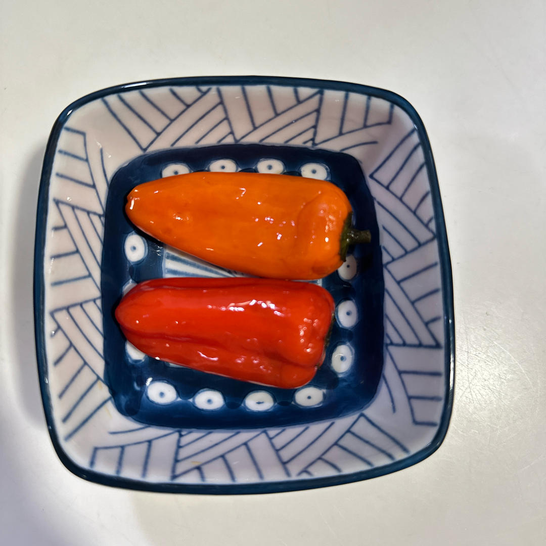 泡彩椒