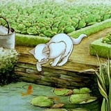 碳水动物