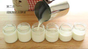 酸奶~酸奶~和酸奶~的做法 步骤7