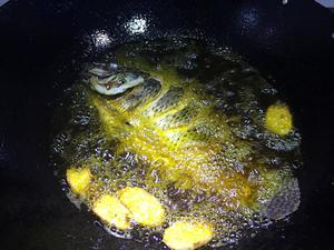 老丁的私房菜-红烧罗非鱼的做法 步骤2
