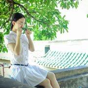 西风长笛曲_