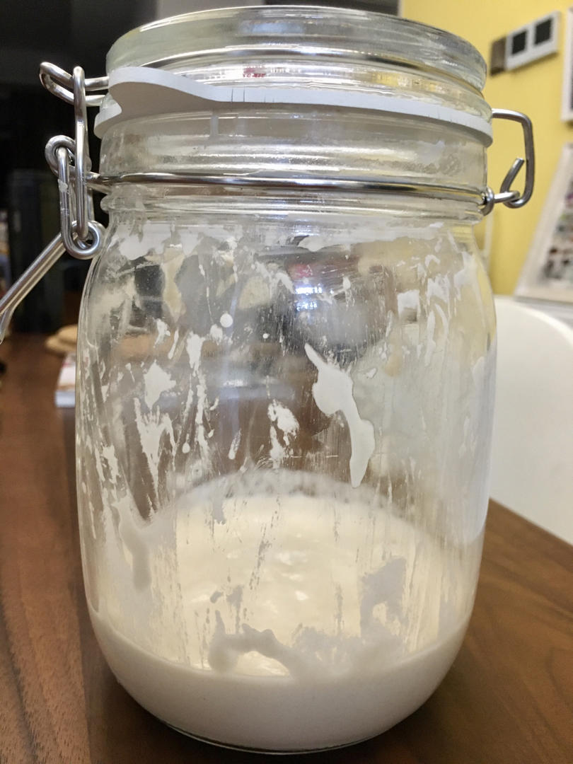 1:1天然酵母（鲁邦种）养成计划