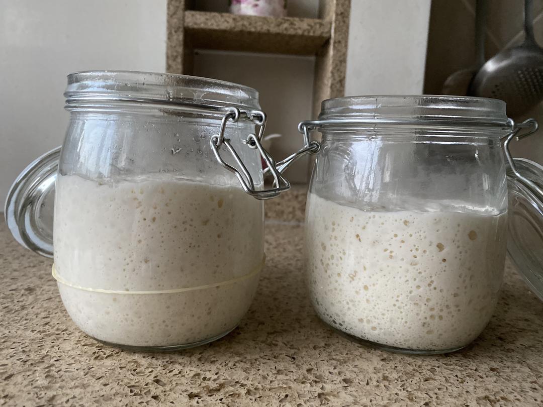 天然酵母喂养的做法