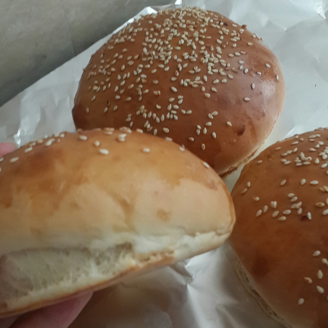 汉堡胚（中种法）