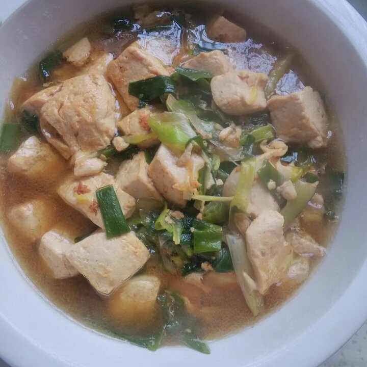 大葱烧豆腐 Spring Onion with Tofu