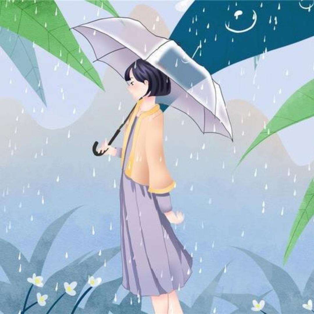 影子0387_wndc