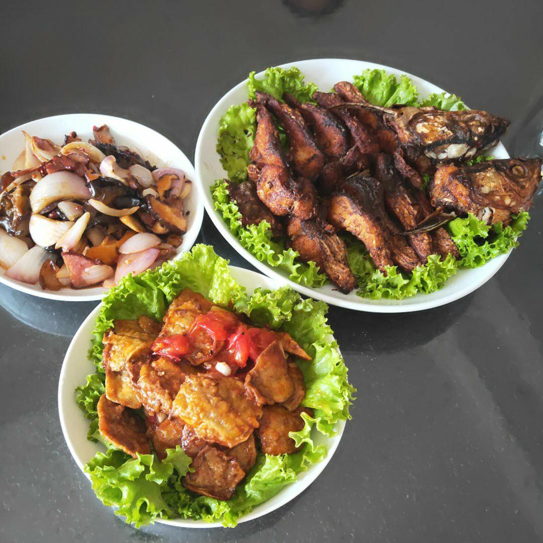 燕归来_候鸟