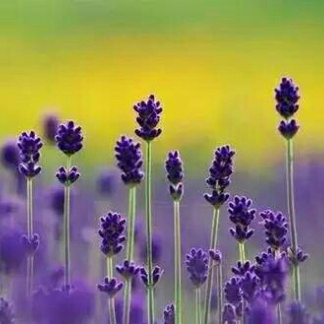 手机用户5898_7bkw