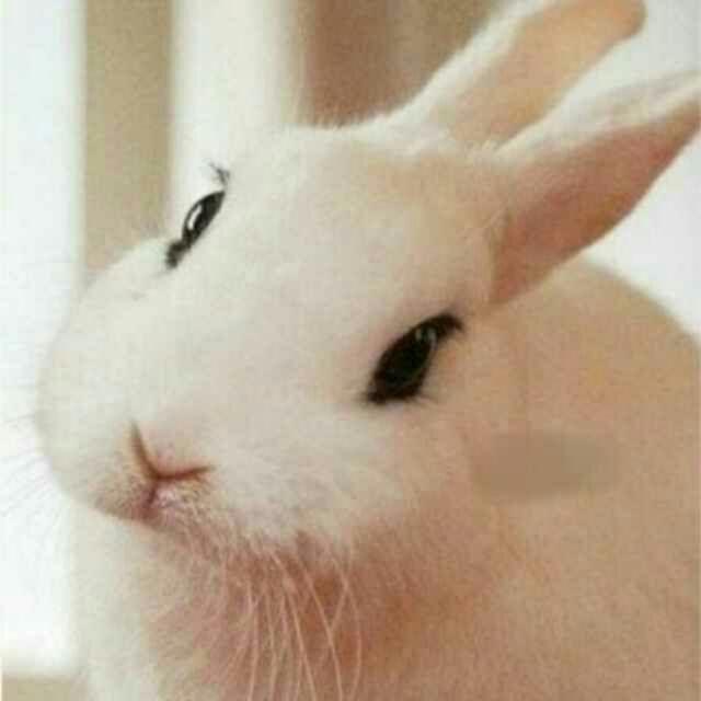 喜欢中餐的康