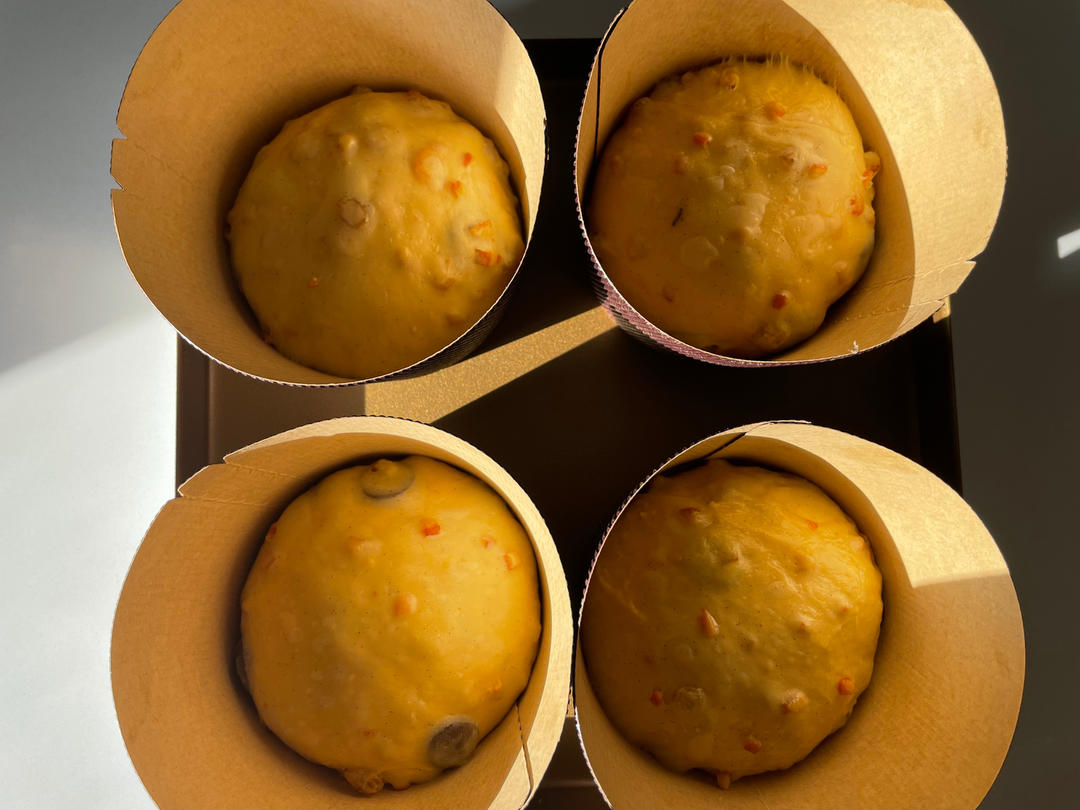 潘娜托尼(天然酵母版) Sourdough Panettone