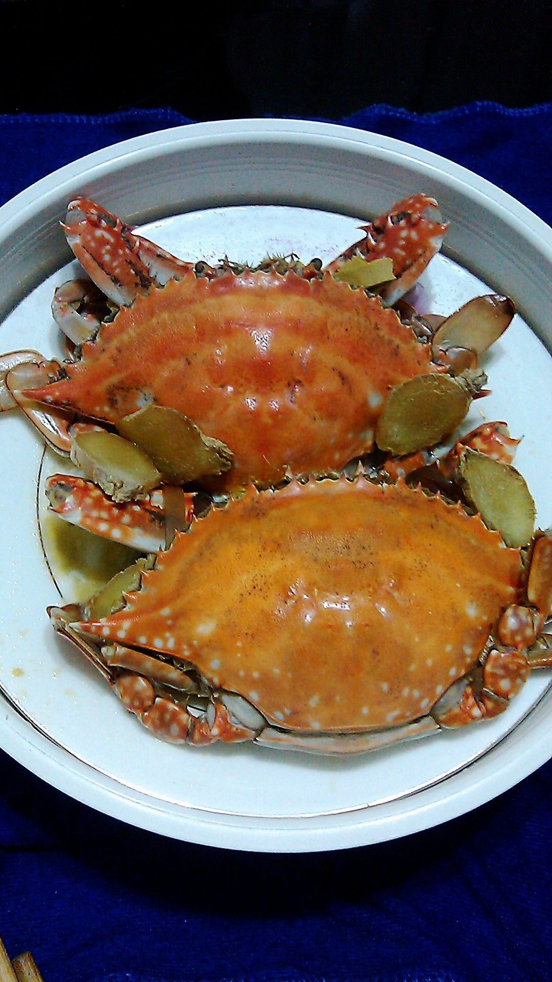 动哥做的清蒸螃蟹
