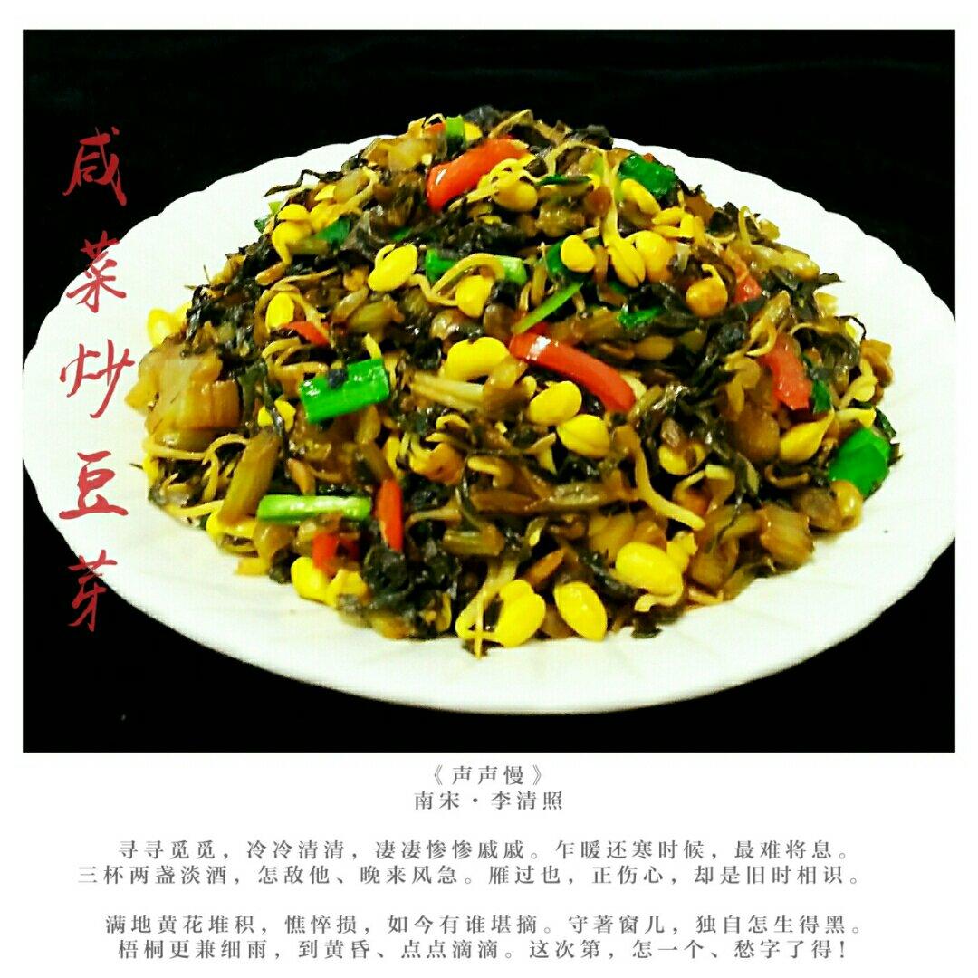 诗词相伴的岁月