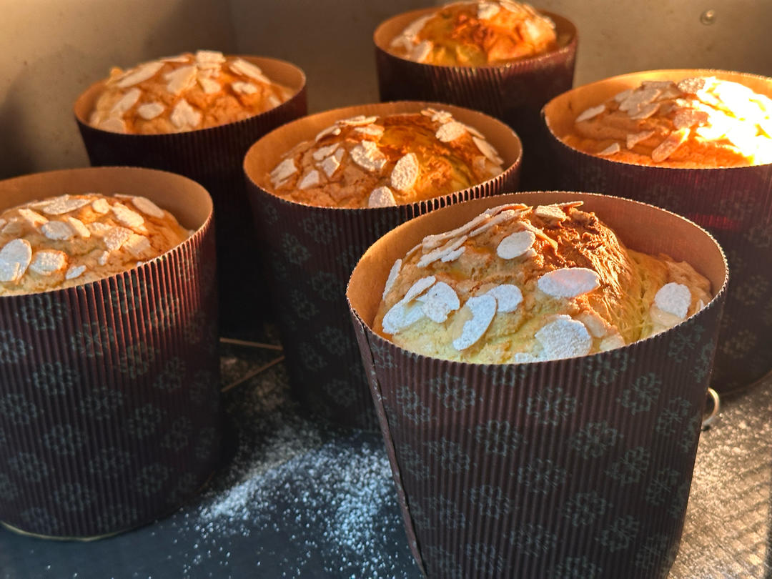 比较啰嗦的潘娜托尼教程