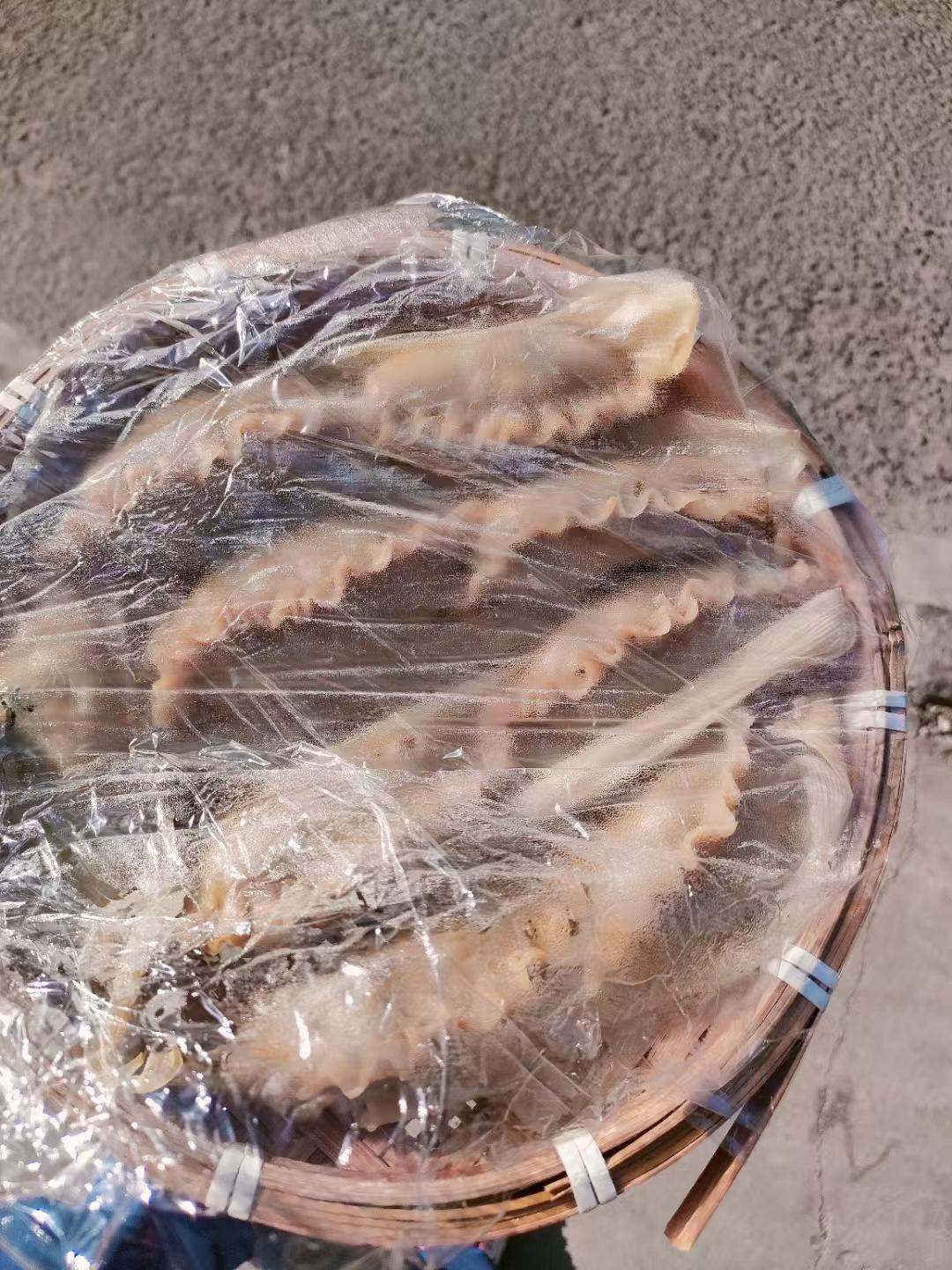 超级鲜的海菜蒸饺