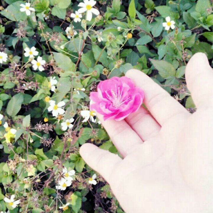 不为悦人，只为悦己