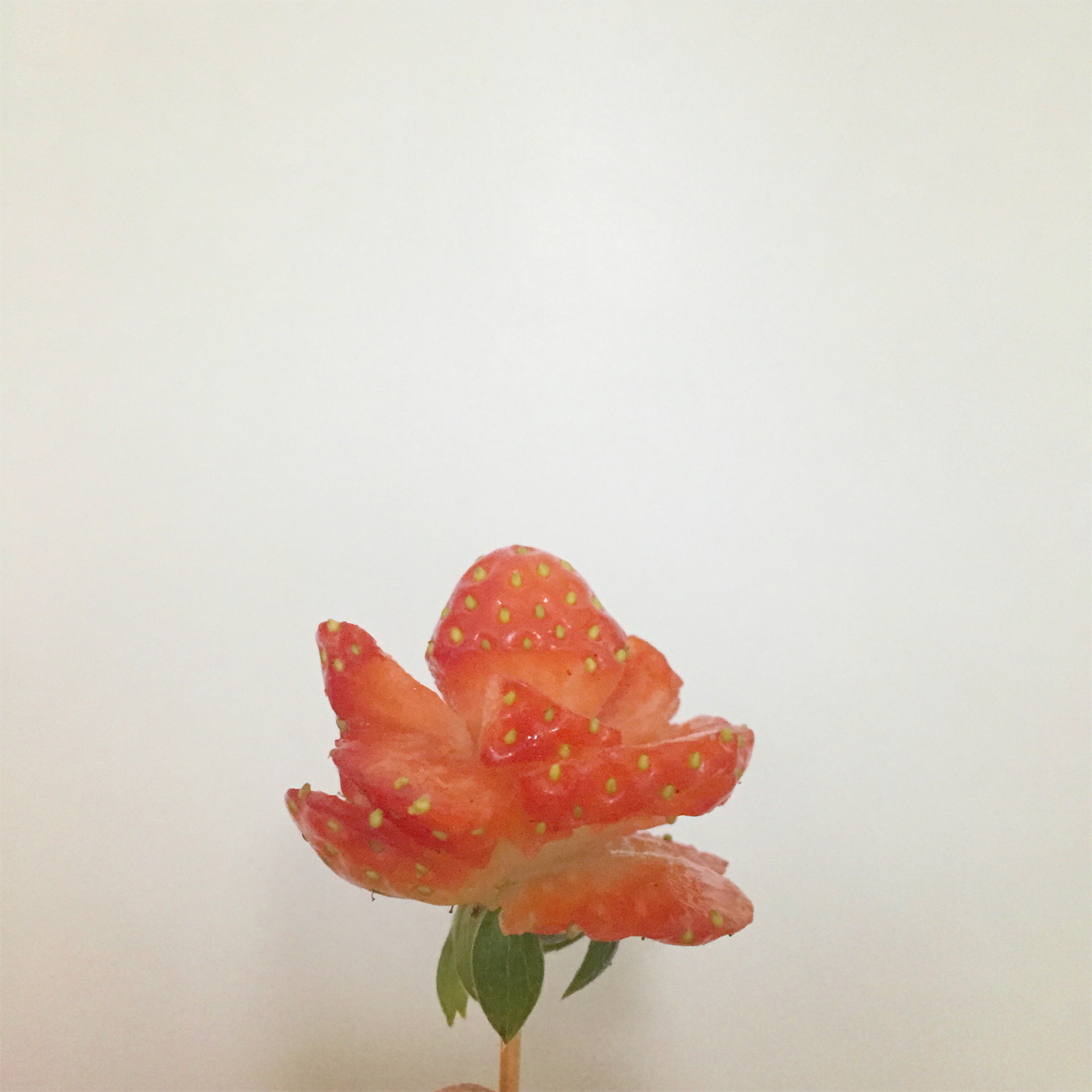 ❤草莓之恋❤情人节草莓玫瑰花
