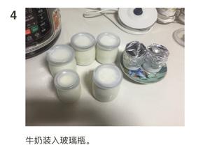 电饭煲酸奶的做法 步骤4
