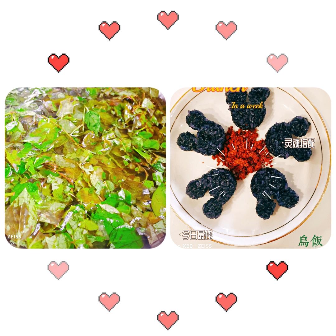 乌饭(南烛叶自制)