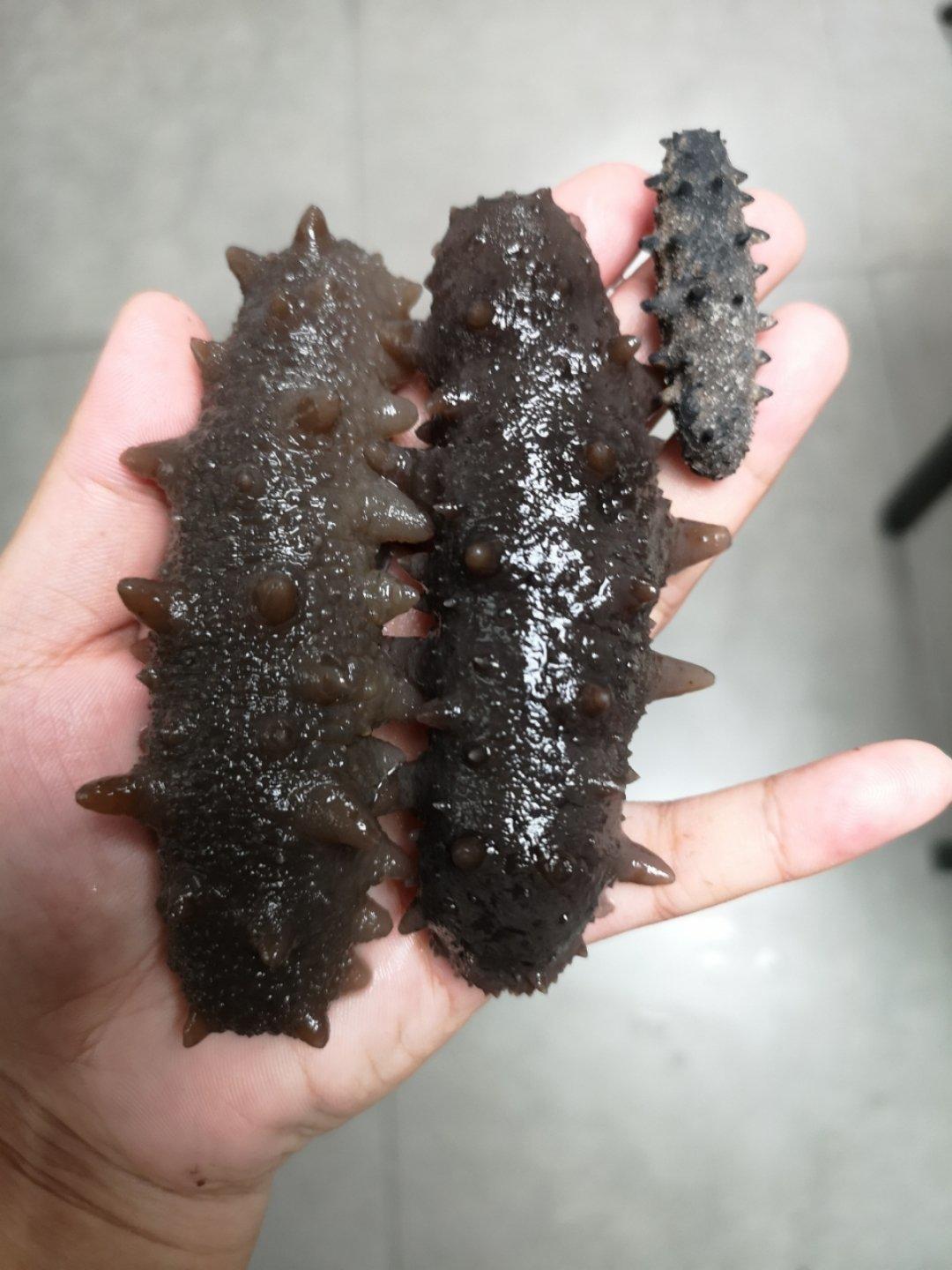 泡发海参的方法