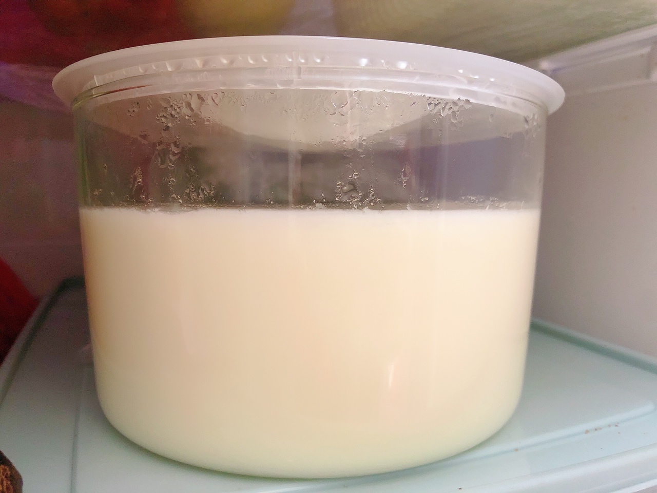 美味酸奶（0翻车）的做法