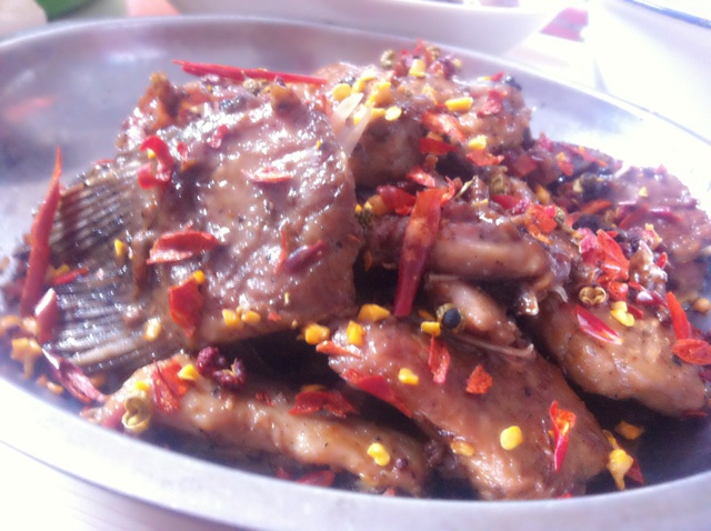 欢喜鱼块